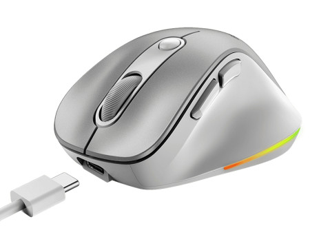 GENIUS Ergo 9000S Pro Silver USB