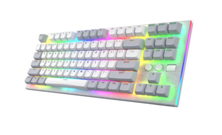 HATOR Gravity TKL orange (HTK561) white