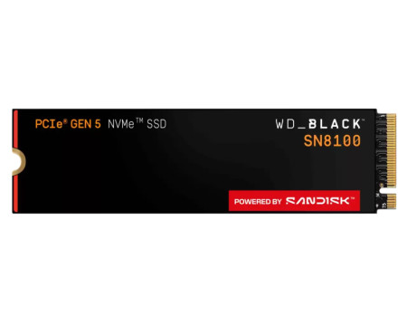 WD 1TB WDS100T1X0M SN8100 Black