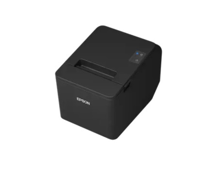 EPSON TM-T20IV 101