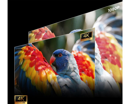 https://www.exceed.rs/images/products/big/193025.jpg
