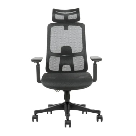 Ergonomska kancelarijska stolica UGD Task Master Mesh