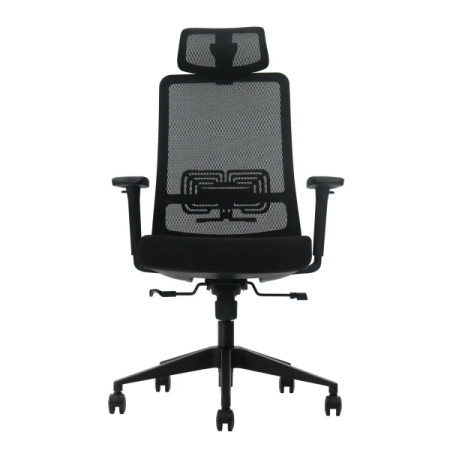 Ergonomska kancelarijska stolica UGD LumbarMax