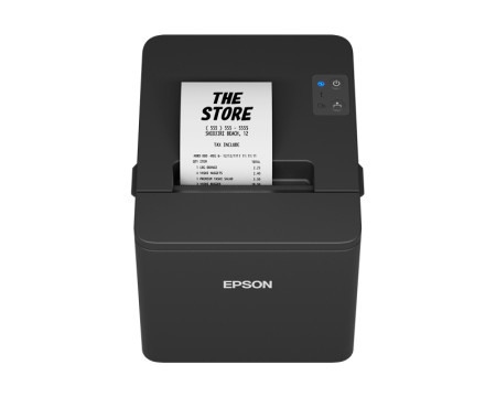 EPSON TM-T20IV 102