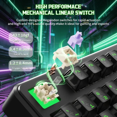 https://www.exceed.rs/images/products/big/205174.jpg